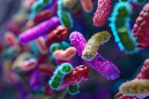 Les Secrets du Microbiote Intestinal